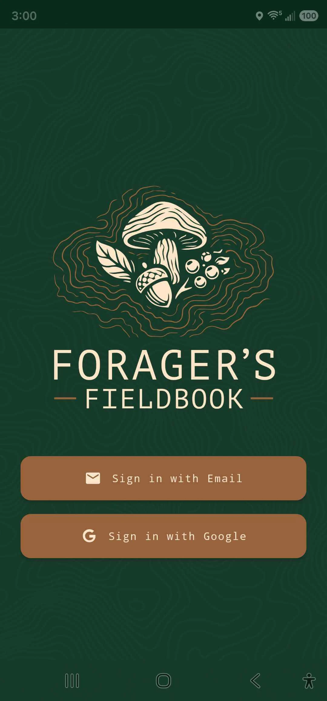 Sign in — Google, email & password, or phone number