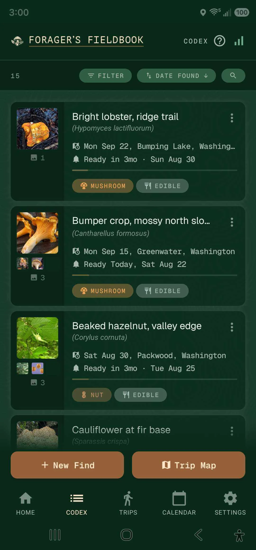 Codex — your finds, organized by taxonomy