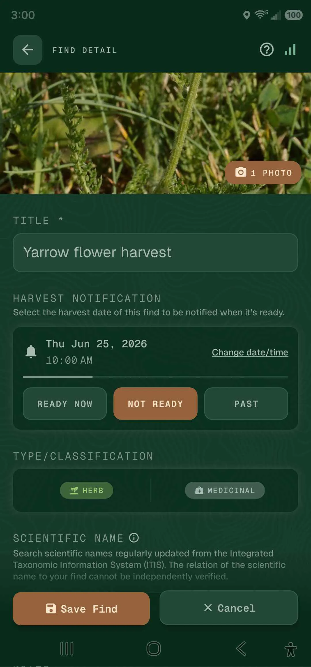 Find detail in Forager's Fieldbook with photo, taxonomy, location, and harvest status.