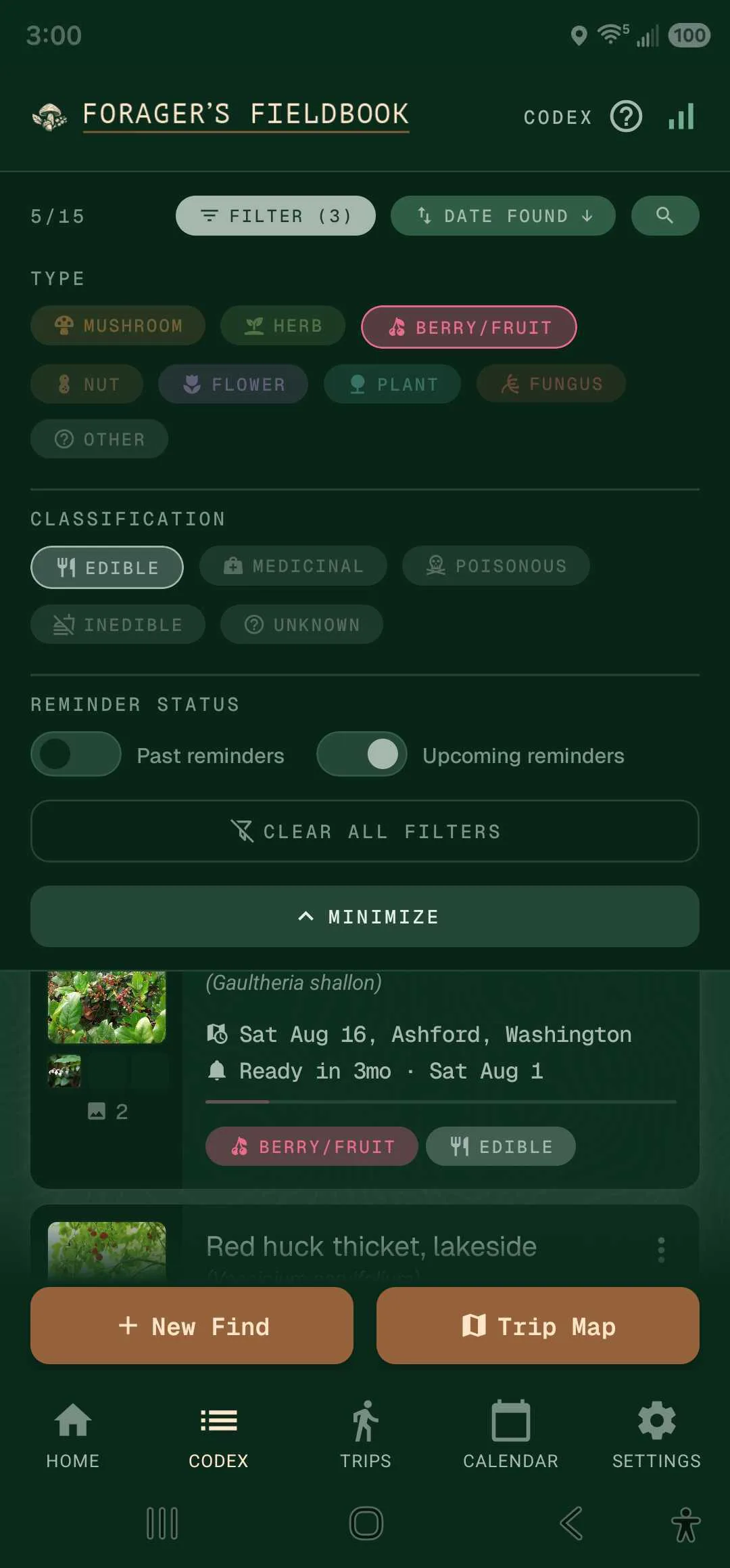 Codex filter panel with type, classification, and reminder-status filters