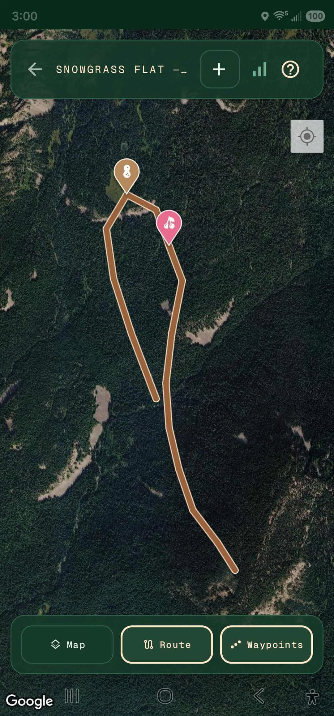 Trip view in Forager's Fieldbook with a GPS route on a satellite map.