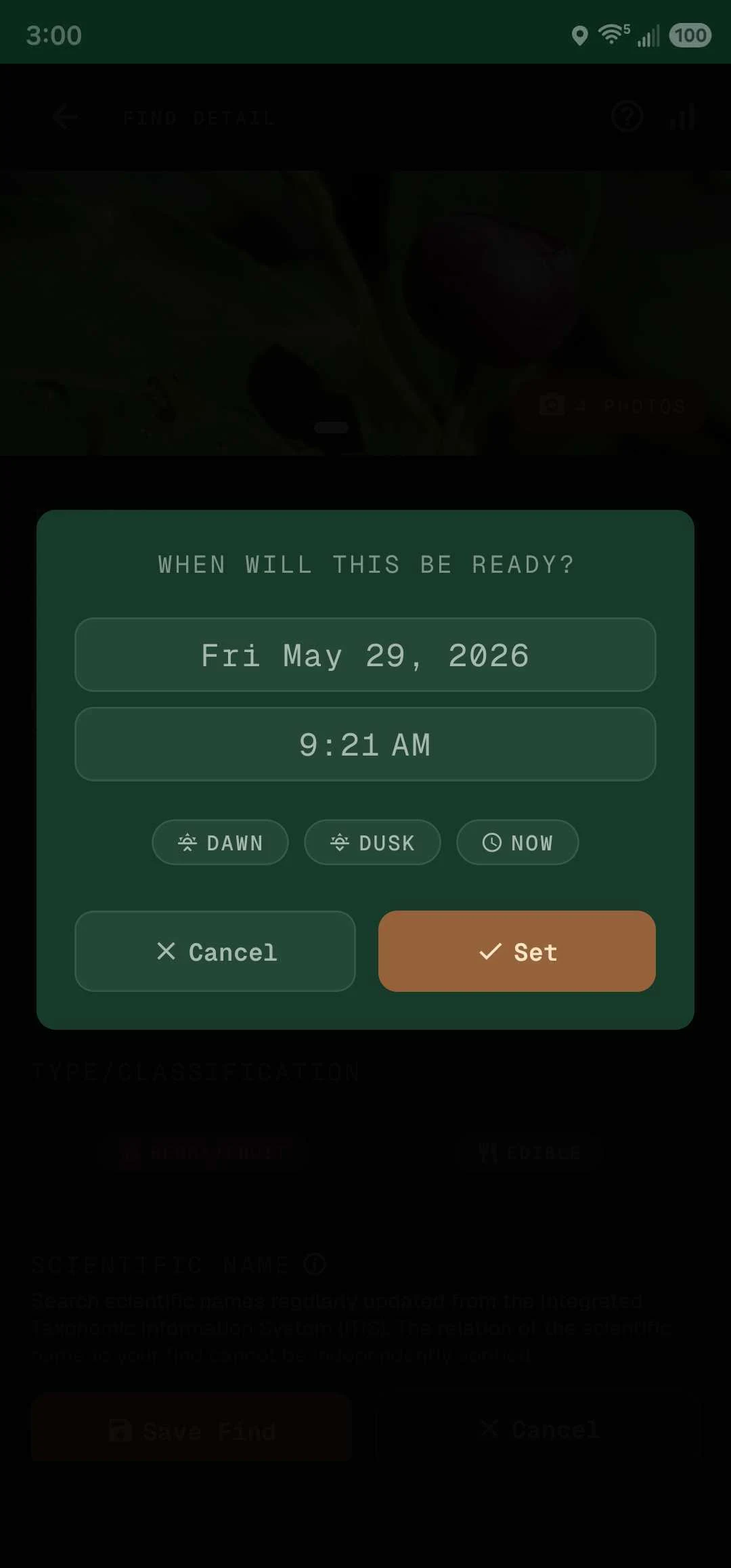 Set harvest readiness — pick a date and time, or jump to Dawn, Dusk, or Now